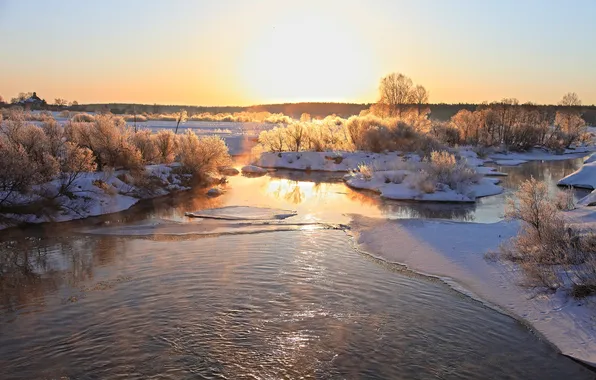 Ice, winter, trees, nature, river, photo