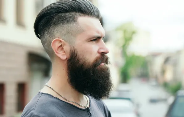 Sexy, man, beard
