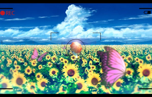 Field, summer, the sky, girl, butterfly, sunflowers, umbrella, shooting