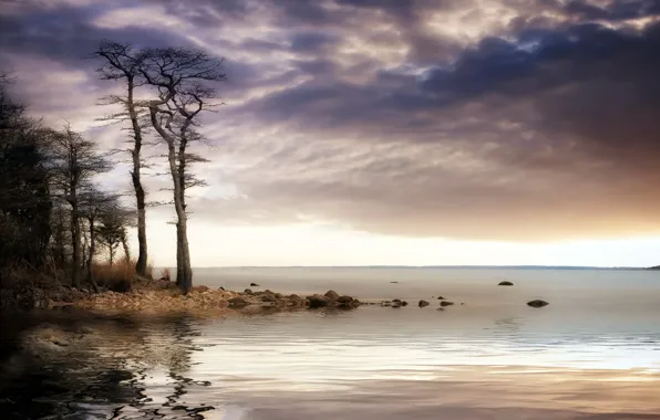 Nature, background, Cape Cod, Mattapoisett beach