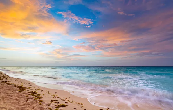 Picture sand, sea, coast