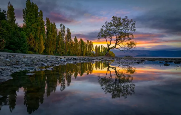 Trees, landscape, sunset, nature, lake, reflection, stones, shore