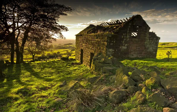 Field, landscape, home