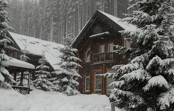 Nature, Winter, Snow, House, House, Nature, Winter, Snow