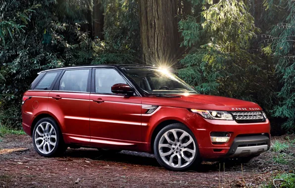 Red, nature, in the woods, EVOH, range Rover