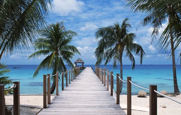 Picture Beach, Polynesia, Tuamotu