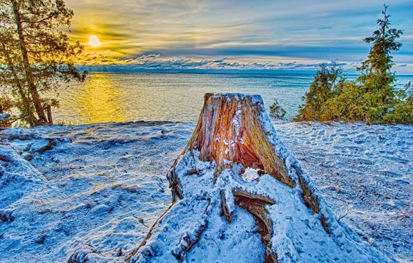 Picture winter, snow, lake, stump