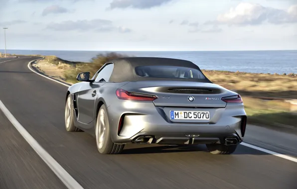 Picture grey, BMW, Roadster, coastline, BMW Z4, M40i, Z4, 2019