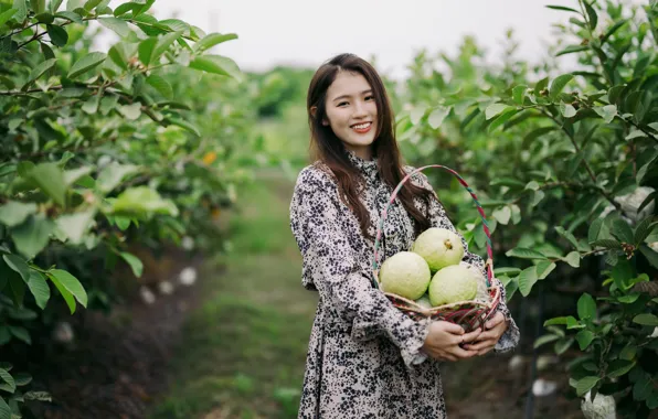 Picture girl, fruit, Asian