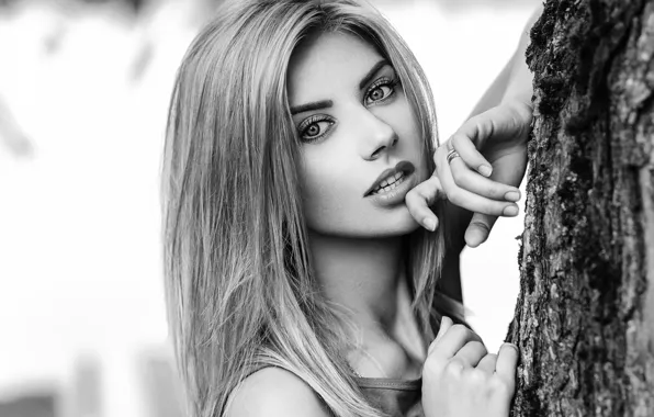 Picture look, girl, tree, portrait, makeup, hairstyle, blonde, black and white