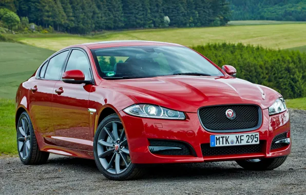 Mountains, red, jaguar