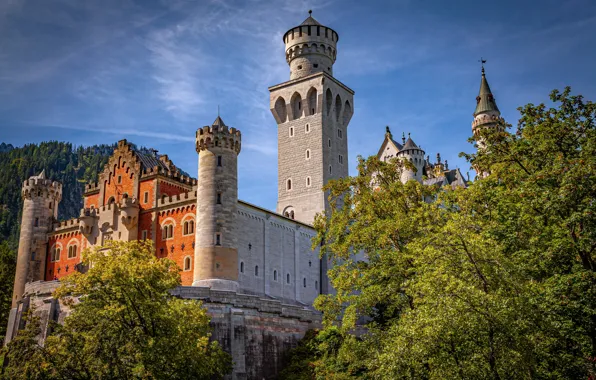 Picture trees, castle, Germany, Bayern, Germany, Bavaria, Neuschwanstein Castle, Neuschwanstein Castle