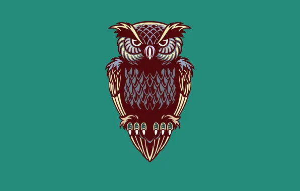 Owl, bird, minimalism, owl