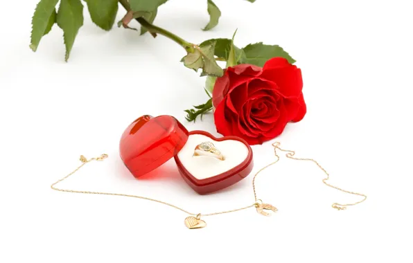 Picture rose, ring, box