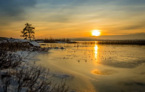 Cold, winter, sunset, nature, lake