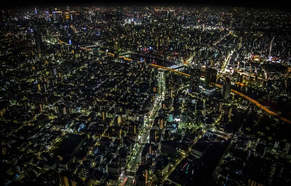 Night, lights, building, home, Japan, lighting, Tokyo, Tokyo