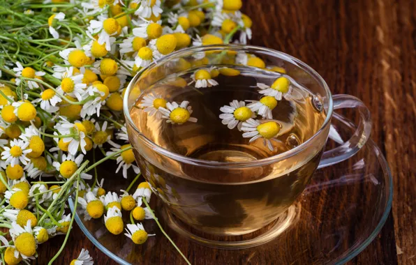 Flowers, tea, Daisy, drink