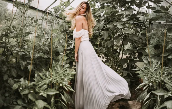 Picture girl, pose, background