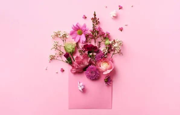 Wallpaper flowers, background, the envelope