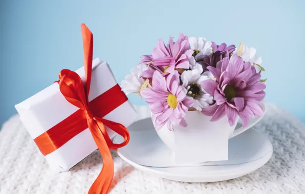 Flowers, gift, Holiday, bow, chrysanthemum, box