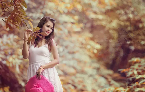 Autumn, leaves, girl, branches, background, foliage, Asian