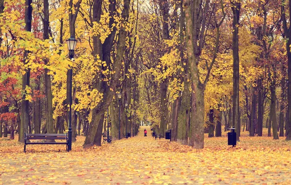 Autumn, leaves, trees, Park, the way, child, benches, mother