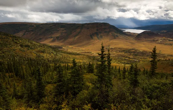 Landscape, mountains, nature, Park, photo, spruce, USA, Alaska