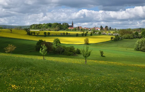 Greens, field, summer, the sky, grass, clouds, light, trees