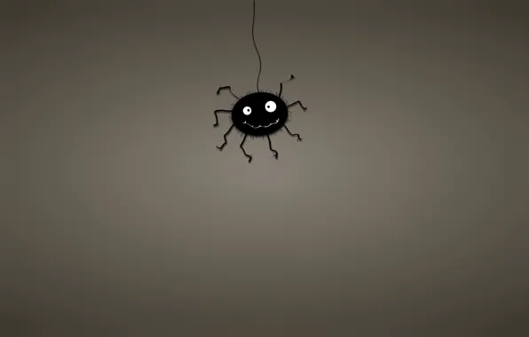 Black, minimalism, web, spider, spider, dark background