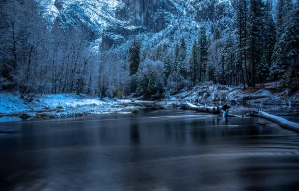 Winter, snow, trees, river, rocks, CA, USA, Yosemite