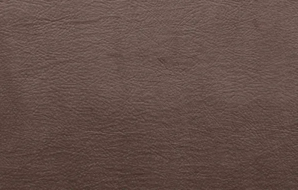 Background, leather, Texture, pattern, The texture of the skin