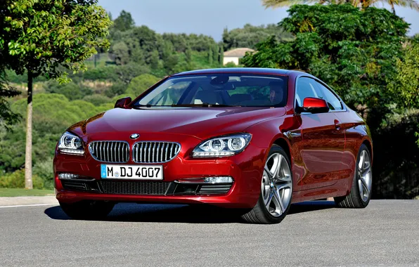 BMW, Coupe, Coupe, 650i, BMW 6 series