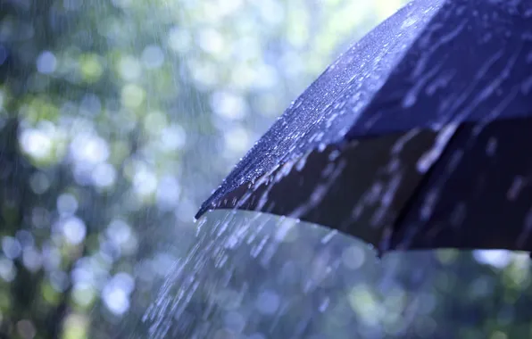 Picture macro, umbrella, rain, drops. weather