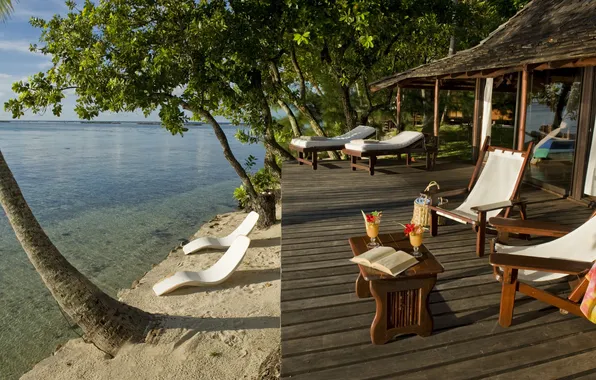 Palm trees, mood, the ocean, stay, relax, terrace