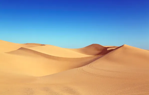 Picture california, beach, coast, usa, grassland, sunlight, desert landscape