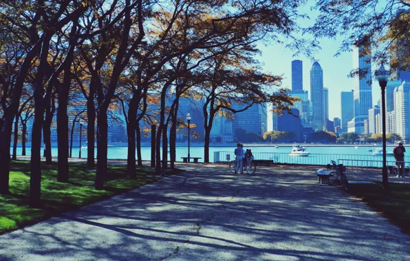 Autumn, Park, people, skyscrapers, Chicago, Chicago