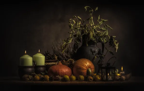 Branches, berries, the dark background, apples, bouquet, candles, fruit, lantern
