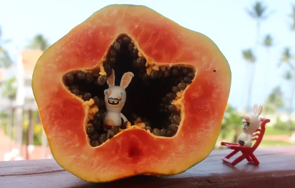 Picture stars, fruit, raymon