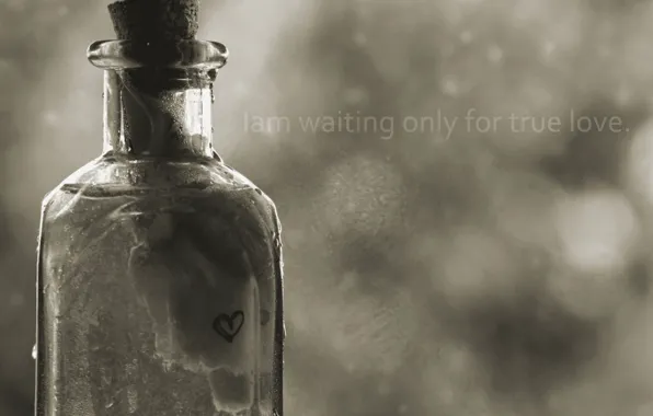 Picture love, the inscription, bottle, note, i am waiting only for true love, searching