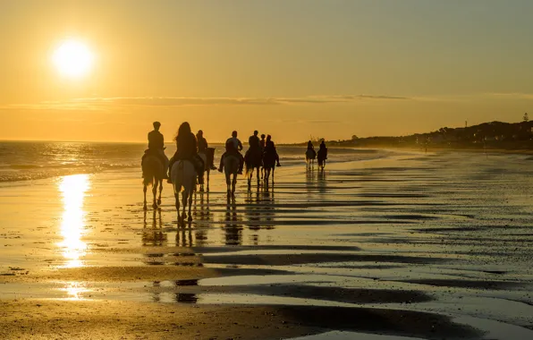 Beach, ocean, people, tourism, camels