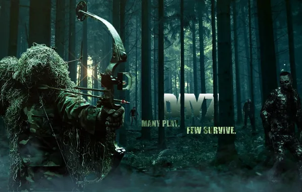 Picture forest, bow, zombies, arrow, dayz