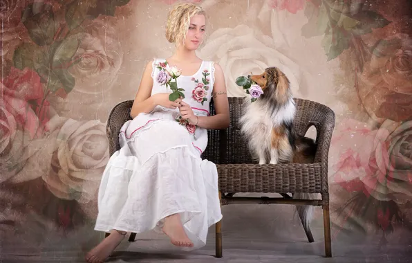Girl, flowers, room, sofa, roses, dog, sitting, white dress
