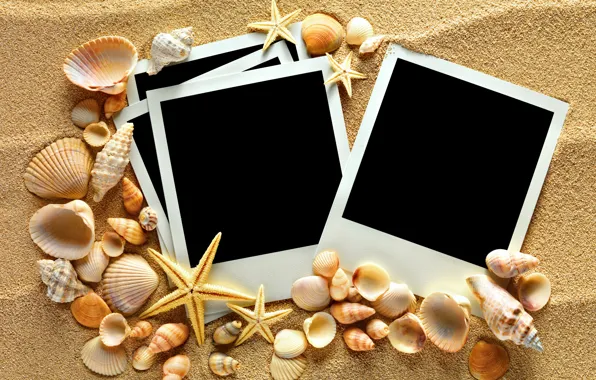 Picture sand, shell, texture, sand, seashells, starfishes, photo frame