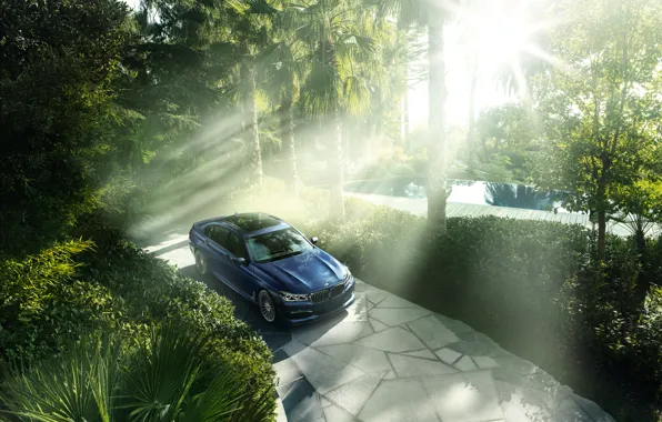 Forest, light, BMW, 7 Series, Alpina
