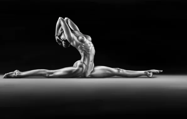 Black & white, legs, boobs, breast, art, nude, athletic, Andy Aslamov