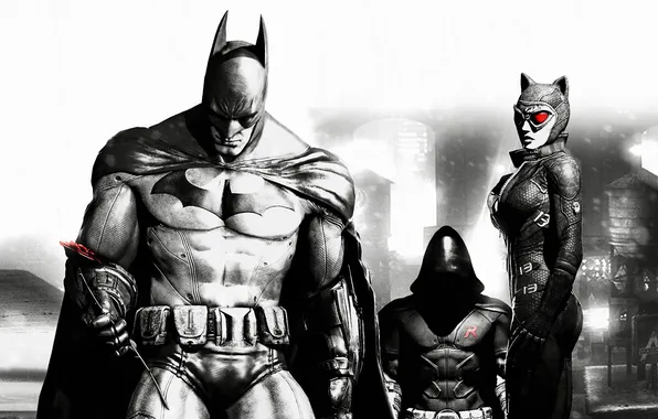 Picture batman, Batman Arkham City, catwoman