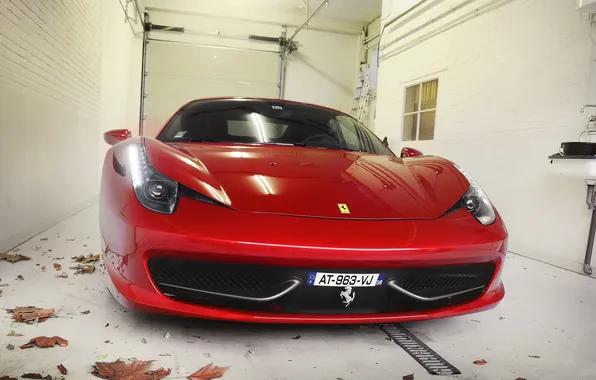 Leaves, red, red, ferrari, Ferrari, Italy, the front, 458 italia