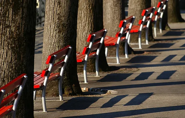 The city, street, bench