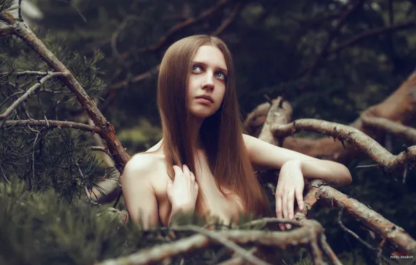 Look, branches, face, portrait, light, brown hair, handle, sexy