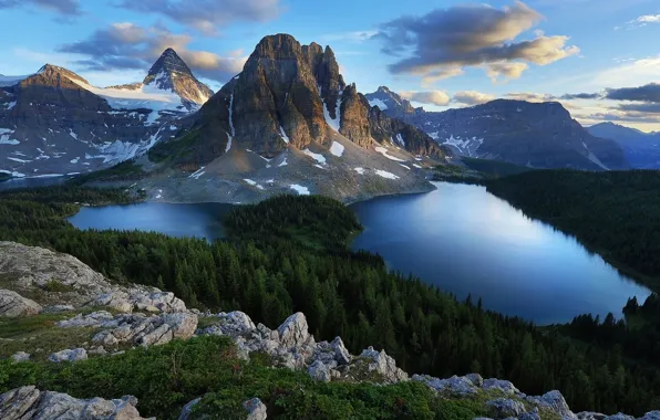 Forest, landscape, nature, mountains, lake